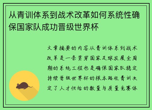 从青训体系到战术改革如何系统性确保国家队成功晋级世界杯